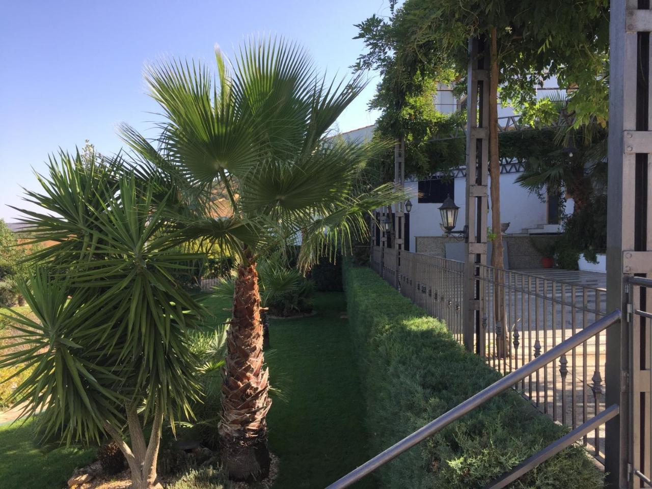 Apartamentos Atalayas Extremadura 사프라 외부 사진